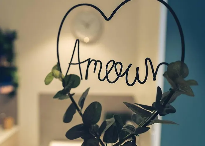 Mon Nid D'amour - Jacuzzi Privatif - Centre Ville Du Mans